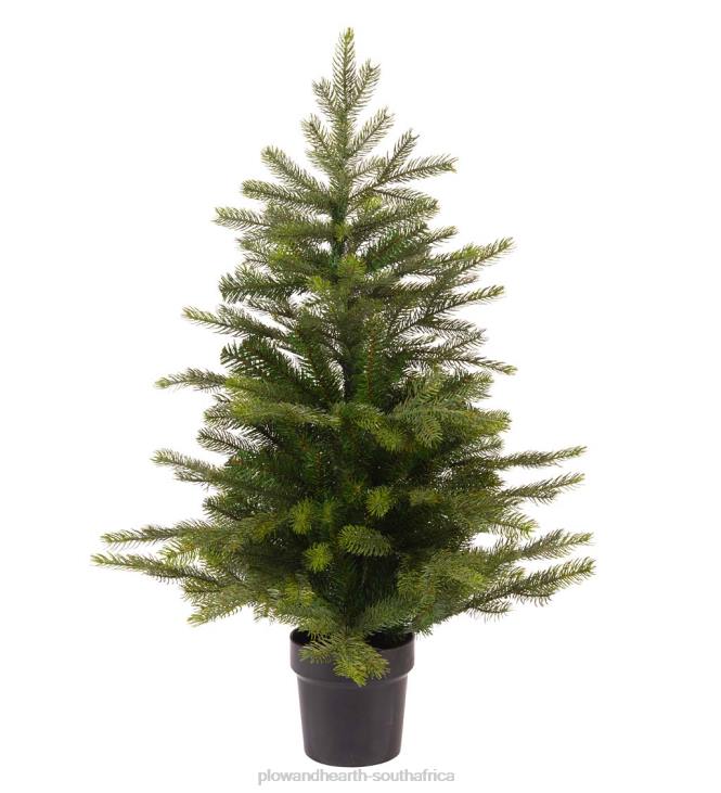Seasonal & Gifts Plow & Hearth Grandis Fir Potted Christmas Tree NFLB2140