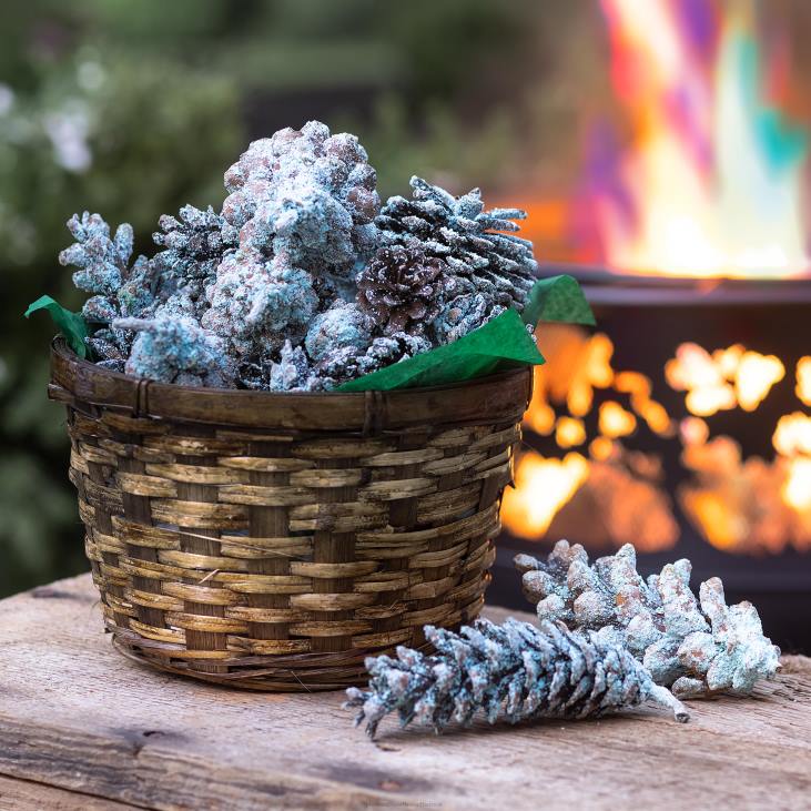 Seasonal & Gifts Plow & Hearth Color-Changing Fireplace Color Cones, 1 lb. in Gift Basket NFLB3252