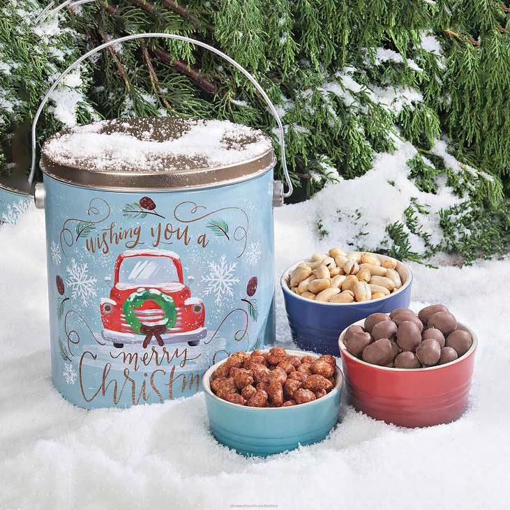 Seasonal & Gifts Plow & Hearth Vintage Christmas Gift Tin with Extra Large Virginia Peanuts NFLB3013