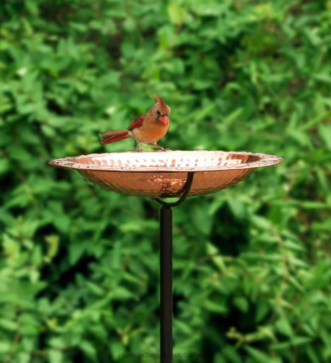 Yard & Garden Plow & Hearth Pure Copper Birdbath on Powder-Coated Steel Pole With Sturdy Three-Prong Stake NFLB830