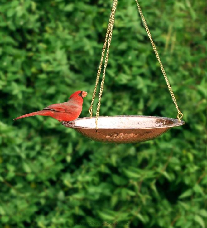 Yard & Garden Plow & Hearth Pure Copper Hanging Birdbath on 17Long Brass Chain with Hook NFLB852
