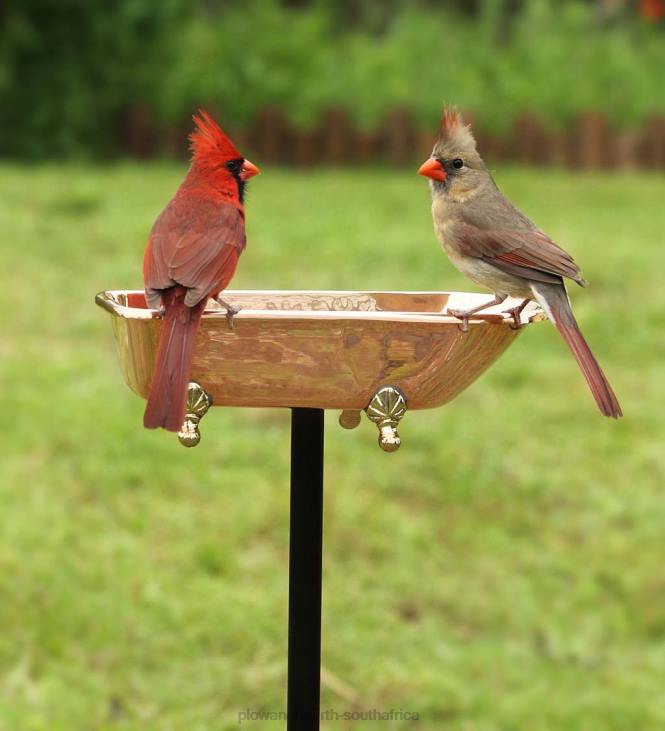 Yard & Garden Plow & Hearth Splish Splash Birdbath, Polished Copper - Copper NFLB844