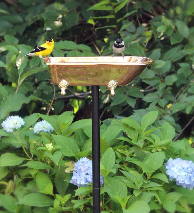 Yard & Garden Plow & Hearth Splish Splash Birdbath, Polished Copper - Copper NFLB844