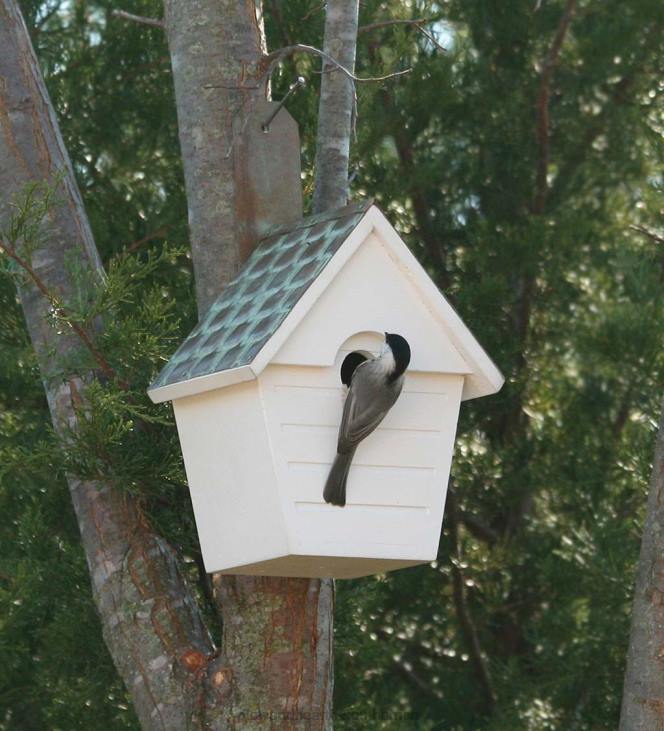 Yard & Garden Plow & Hearth Hardwood Hanging Cottage-Style Birdhouse with Verdigris Copper Roof NFLB876