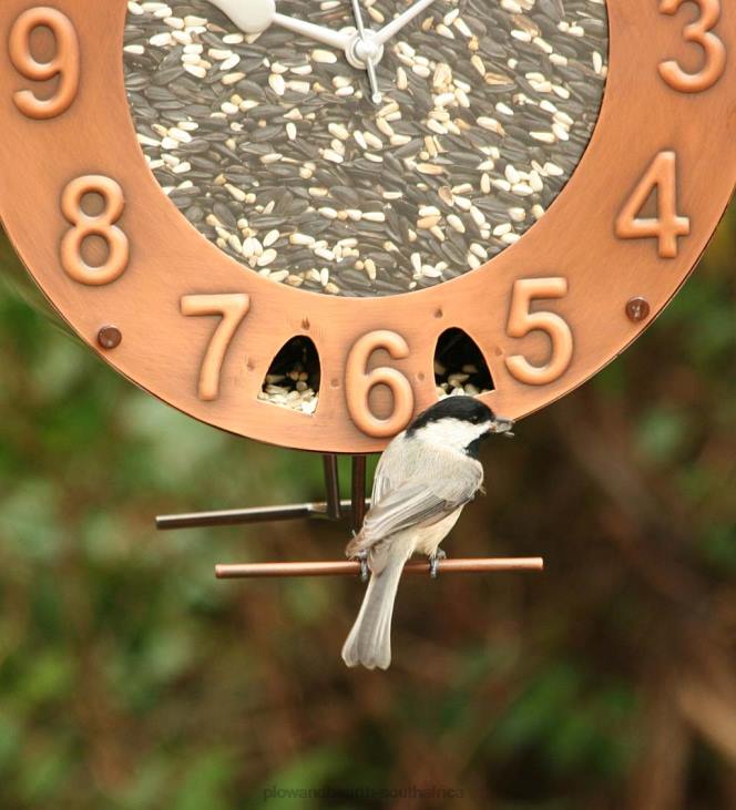 Yard & Garden Plow & Hearth Copper and Plexiglass Clock-Motif Bird Feeder NFLB821