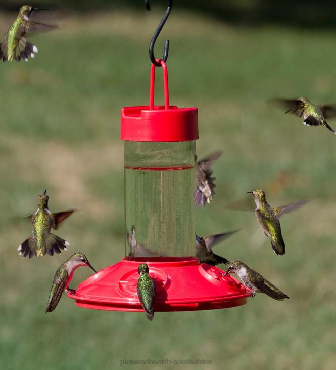 Yard & Garden Plow & Hearth Dr. JB's 16-Ounce Dishwasher-Safe Hummingbird Feeder NFLB775