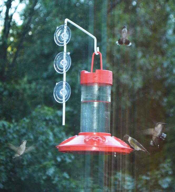 Yard & Garden Plow & Hearth Dr. JB's 16-Ounce Dishwasher-Safe Hummingbird Feeder with Window Hanger NFLB781