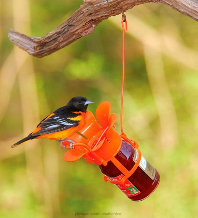 Yard & Garden Plow & Hearth Jelly/Jam Jar Oriole Bird Feeder NFLB756