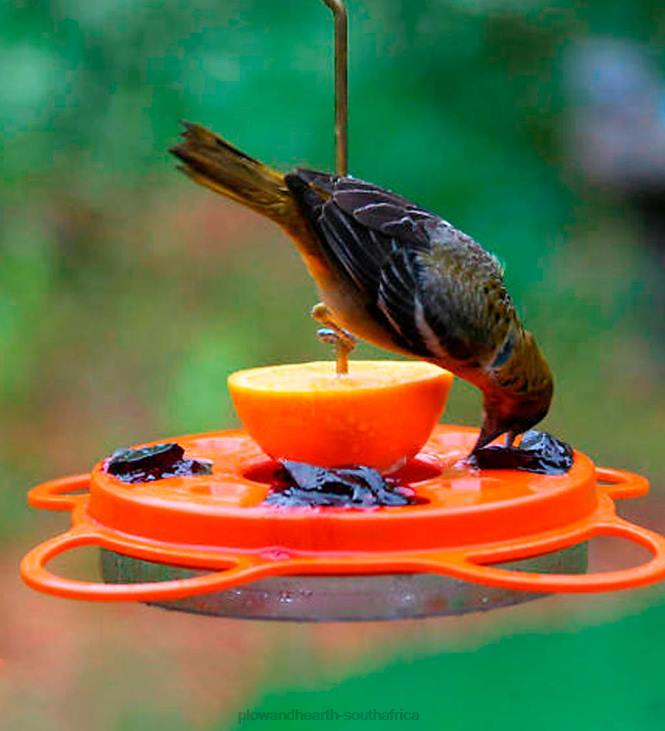 Yard & Garden Plow & Hearth Oriolefest Oriole Feeder, 12 oz. NFLB824