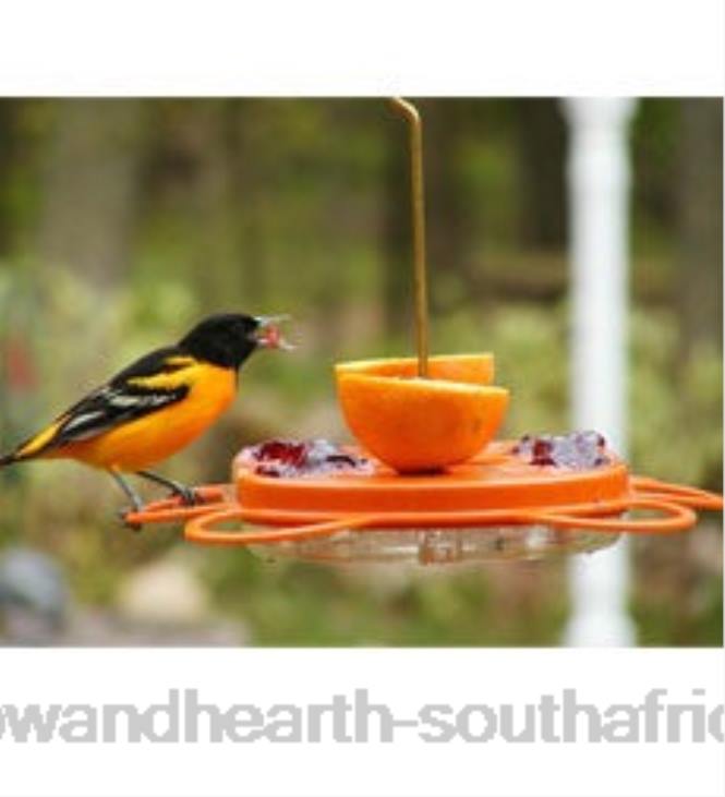 Yard & Garden Plow & Hearth Oriolefest Oriole Feeder, 12 oz. NFLB824