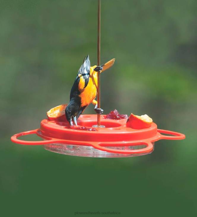 Yard & Garden Plow & Hearth Oriolefest Oriole Feeder NFLB802