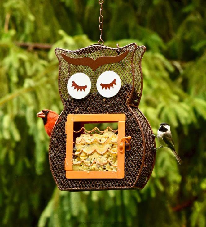 Yard & Garden Plow & Hearth Owl Dual Seed/Suet Birdfeeder NFLB755