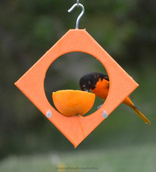 Yard & Garden Plow & Hearth Recycled Plastic Oriole Diamond Fruit Feeder NFLB809
