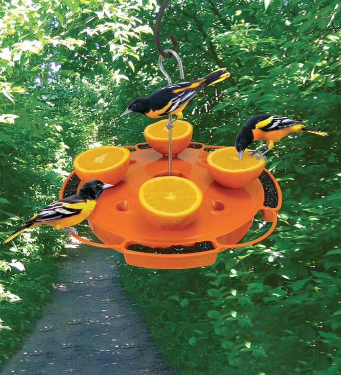 Yard & Garden Plow & Hearth Ultimate Oriole Fruit, Jelly and Nectar Bird Feeder NFLB759