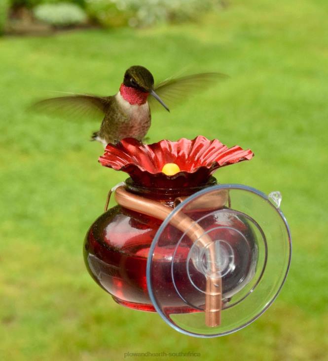 Yard & Garden Plow & Hearth Window Watch Hummingbird Feeder NFLB735