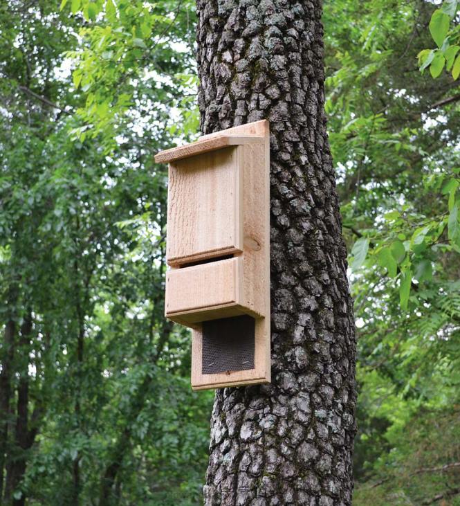 Yard & Garden Plow & Hearth Red Cedar Mini Bat Tower NFLB903
