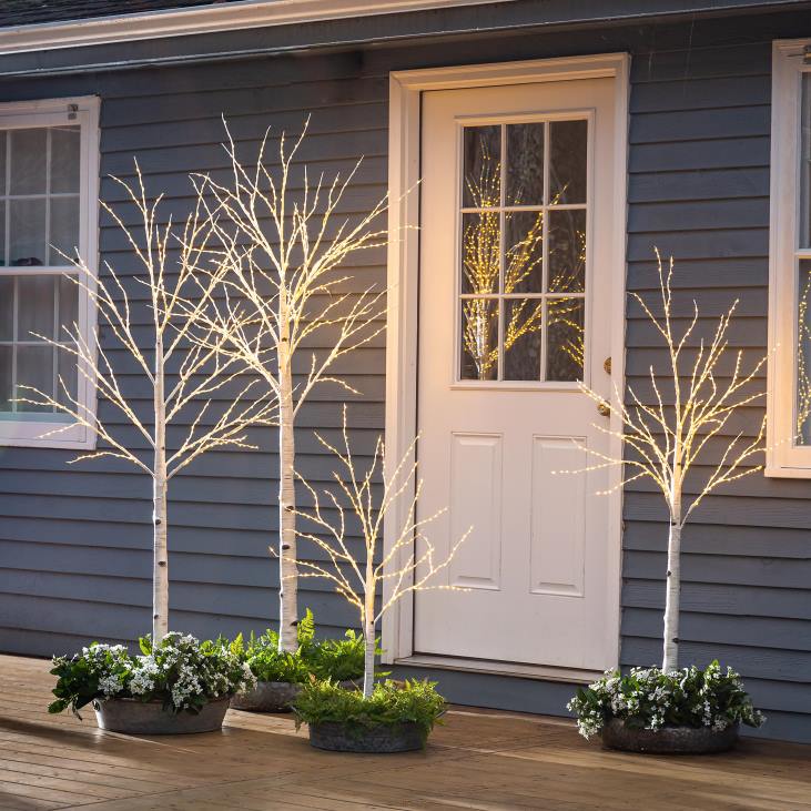 Yard & Garden Plow & Hearth Indoor/Outdoor Birch Tree with Warm White Lights NFLB23
