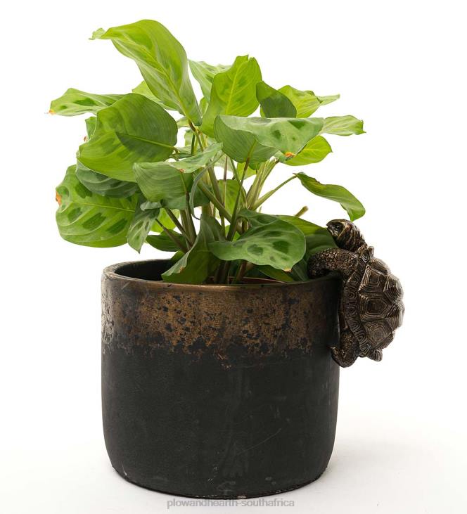 Yard & Garden Plow & Hearth Tortoise Pot Buddy Pot Hanger NFLB395