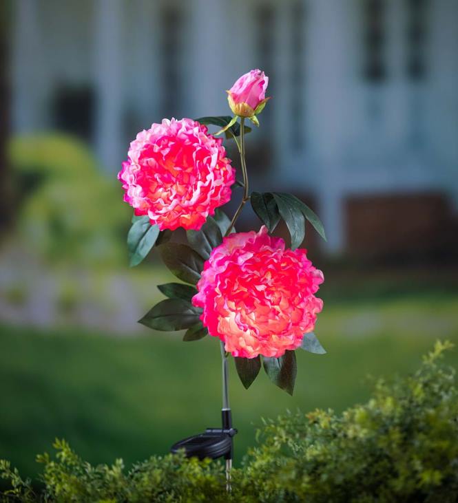 Yard & Garden Plow & Hearth Dark Pink Peony Solar Garden Stake NFLB153