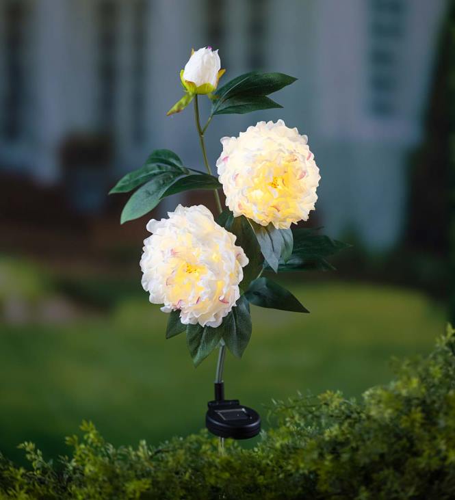 Yard & Garden Plow & Hearth White Peony Solar Garden Stake NFLB171