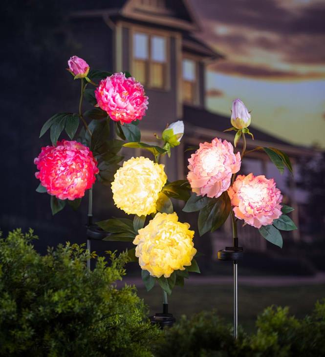 Yard & Garden Plow & Hearth White Peony Solar Garden Stake NFLB171