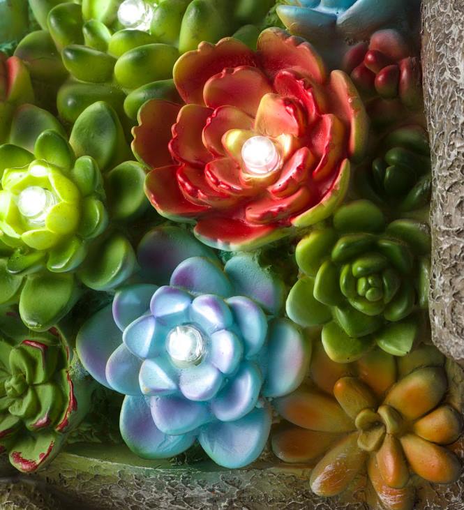 Yard & Garden Plow & Hearth Solar Lighted Succulent Resin Animal Garden Statue - Hedgehog NFLB221