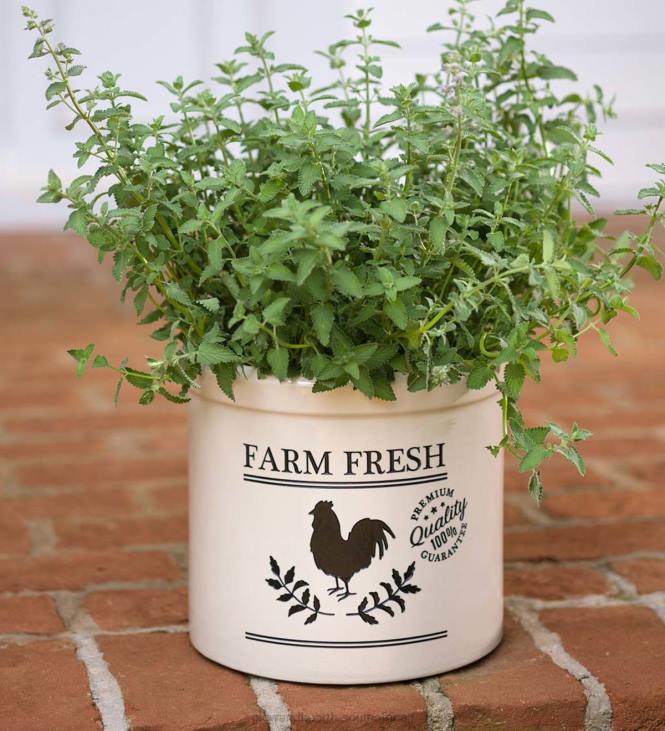 Yard & Garden Plow & Hearth Farm Fresh Rooster Stoneware Crock - Blue NFLB953