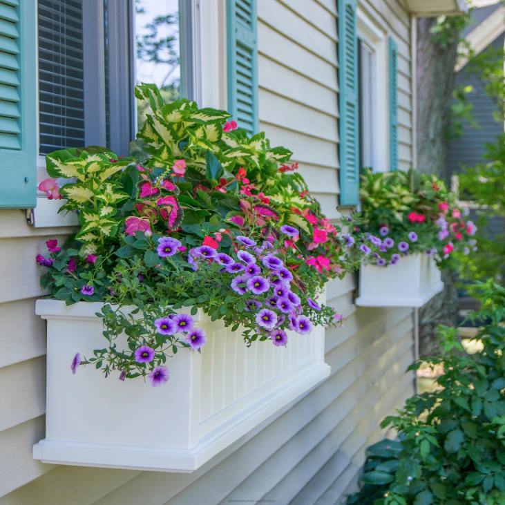 Yard & Garden Plow & Hearth Lexington Self-Watering Window Boxes with Hanging Brackets NFLB925