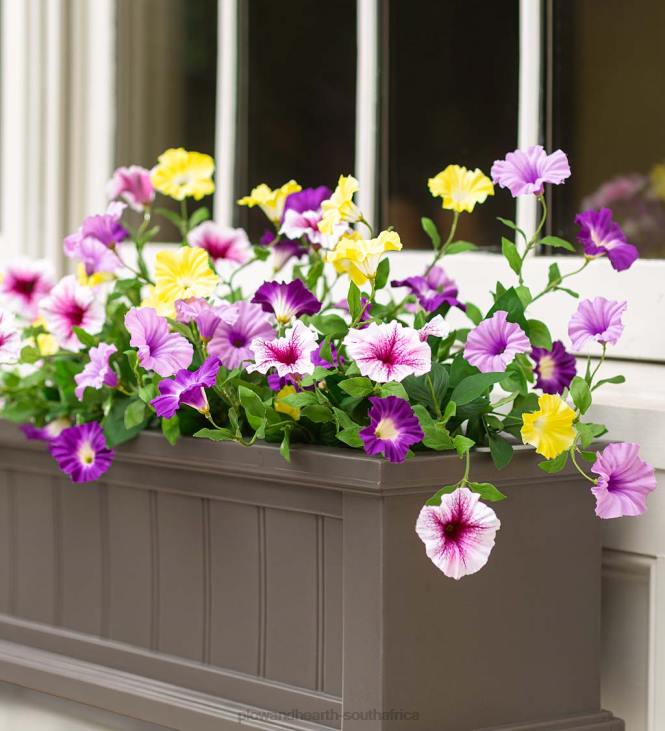 Yard & Garden Plow & Hearth Lexington Self-Watering Window Boxes with Hanging Brackets NFLB925