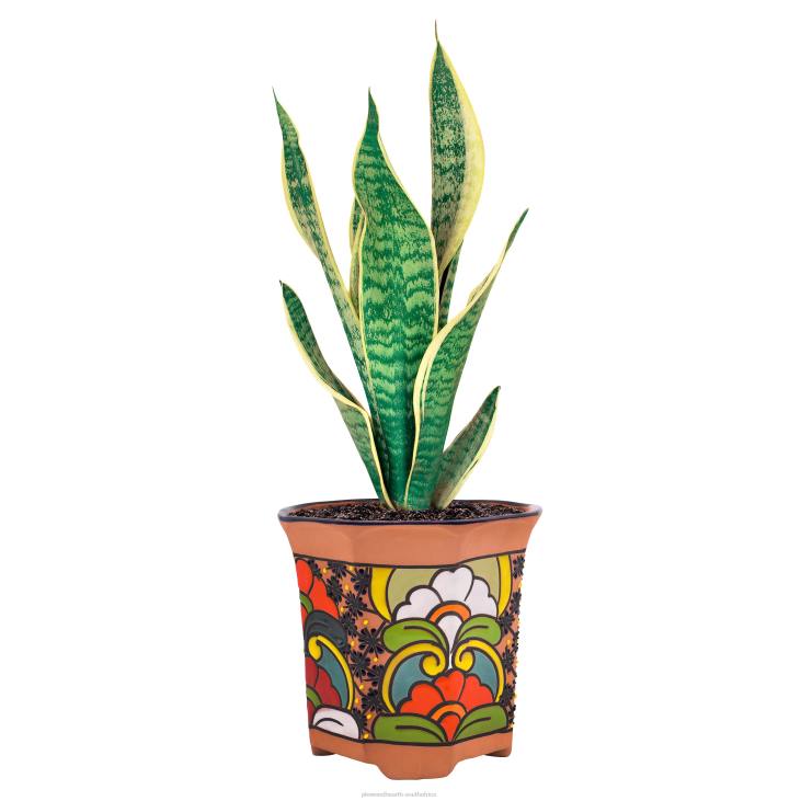 Yard & Garden Plow & Hearth Medium Octagon Talavera Flower Vase NFLB957