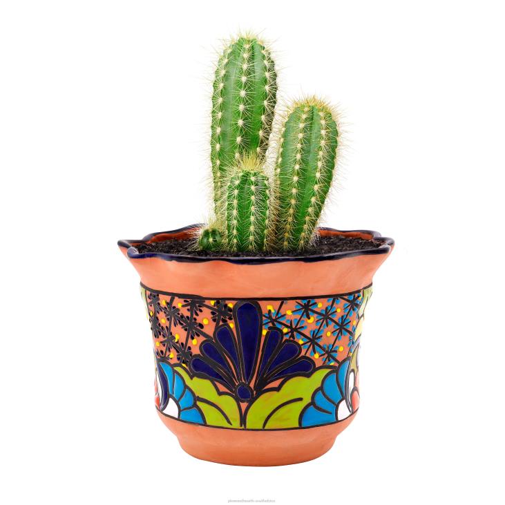 Yard & Garden Plow & Hearth Medium Ripple Rim Talavera Flower Pot NFLB954