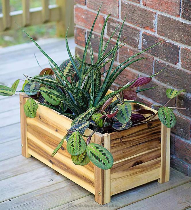 Yard & Garden Plow & Hearth Rectangle Acacia Wood Planter NFLB918