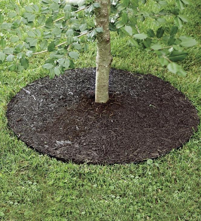 Yard & Garden Plow & Hearth Permanent Mulch Recycled Rubber Tree Ring, 24dia. NFLB674